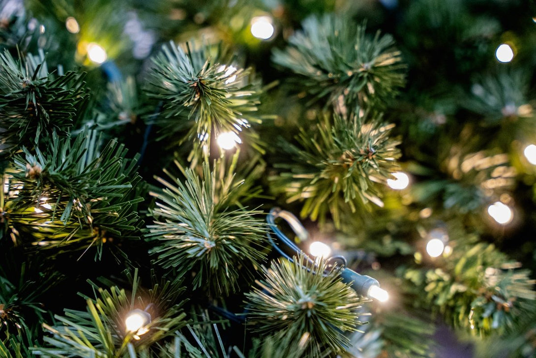 Bosk Anders Fir Pre - lit Artificial Christmas Tree - Bosk - Bench Store