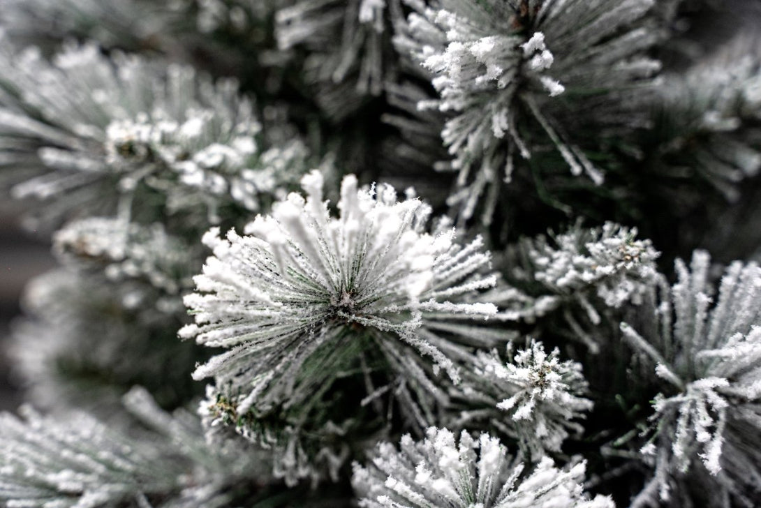 Bosk Frosted Arden Pine Slim Artificial Christmas Tree - Bosk - Bench Store