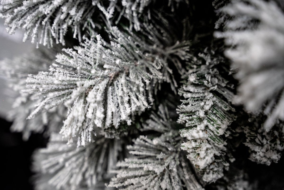 Bosk Frosted Arden Pine Slim Artificial Christmas Tree - Bosk - Bench Store