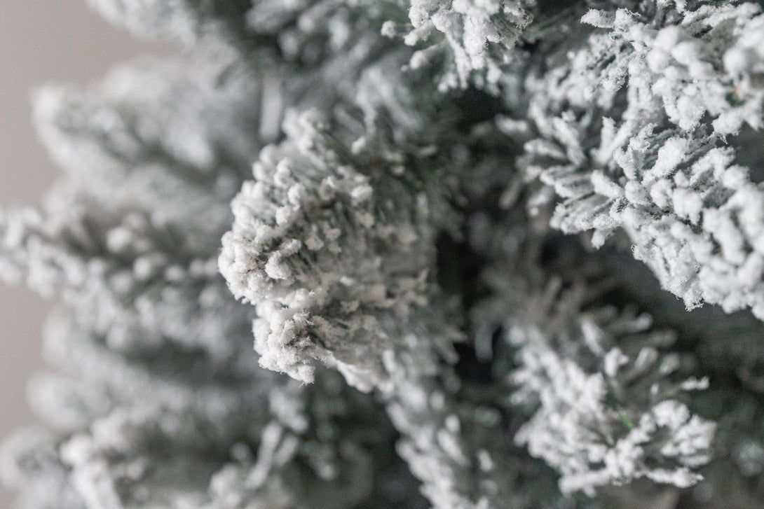 Bosk Frosted Woodland Pencil Slim Spruce - Bosk - Bench Store