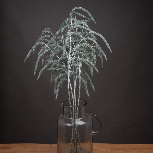 Festive Amaranthus - Bench Store - Bench Store