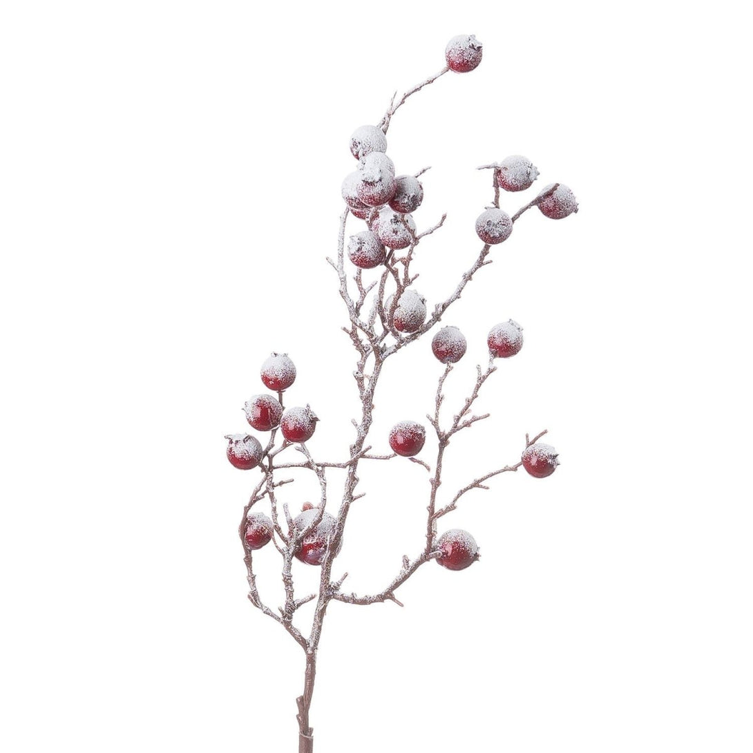 Large Red Festive Berry - Bench Store - Bench Store
