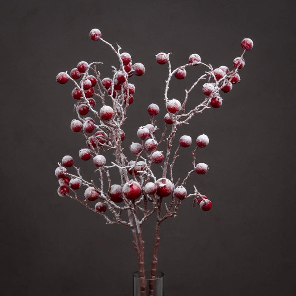 Large Red Festive Berry - Bench Store - Bench Store