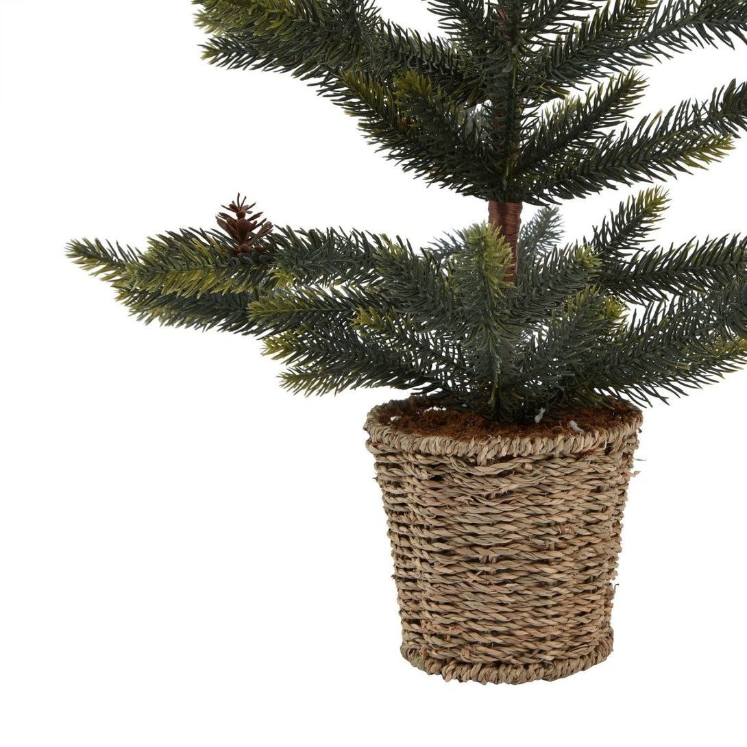 Medium Spruce Tree With Wicker Basket - Bench Store - Bench Store