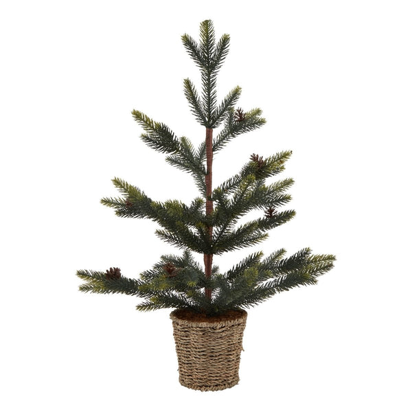 Medium Spruce Tree With Wicker Basket - Bench Store - Bench Store