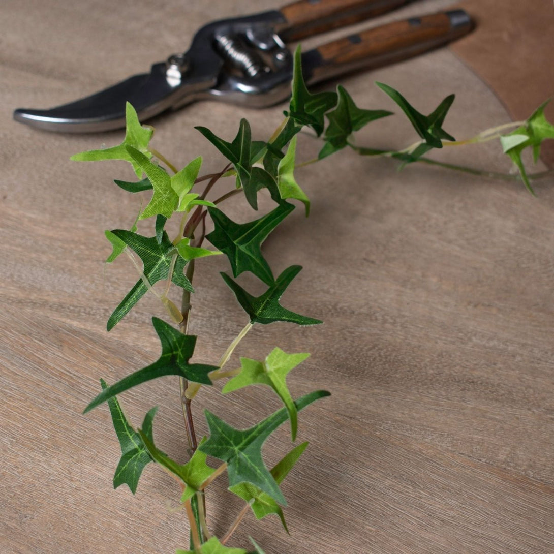 Small Ivy Garland - Bench Store - Bench Store