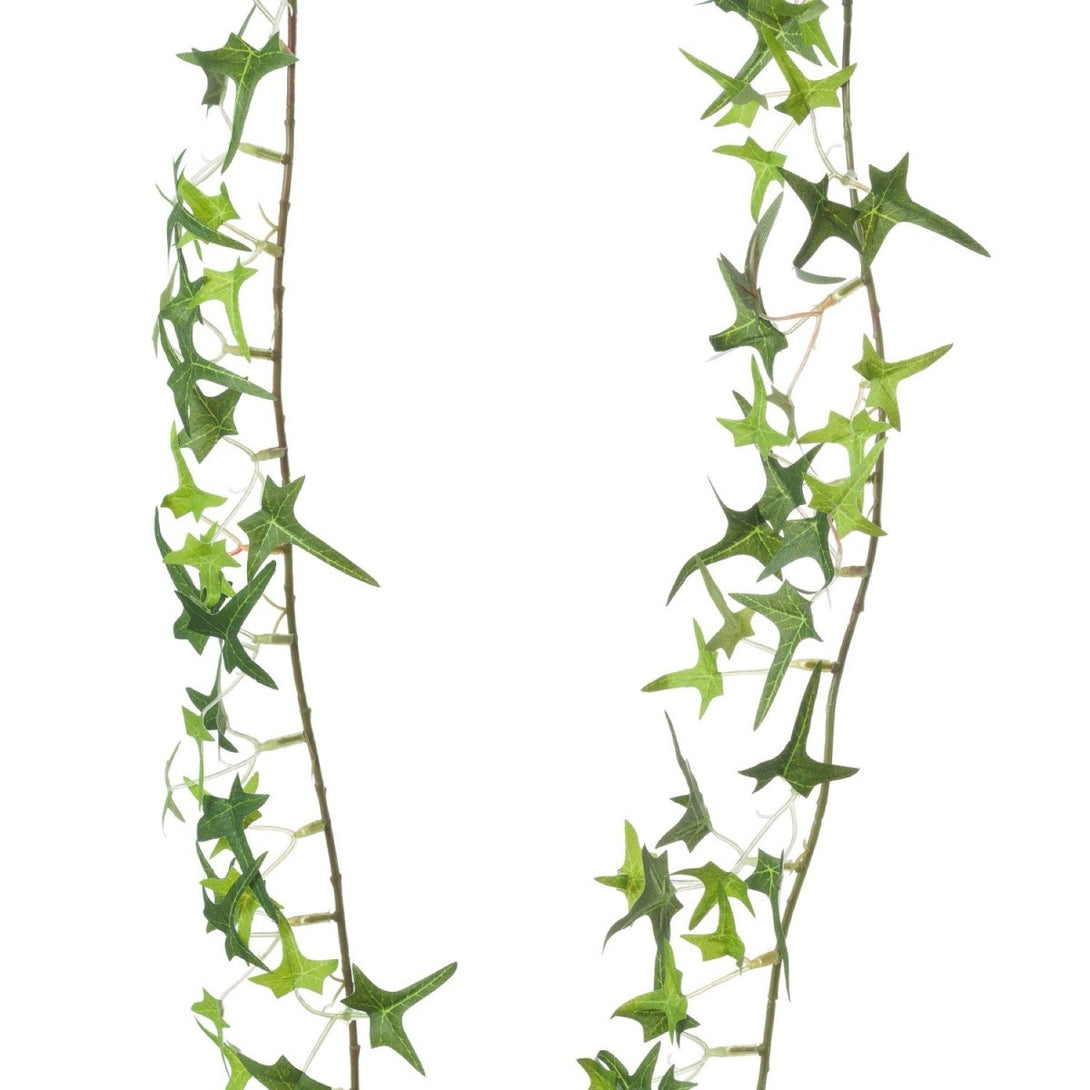 Small Ivy Garland - Bench Store - Bench Store