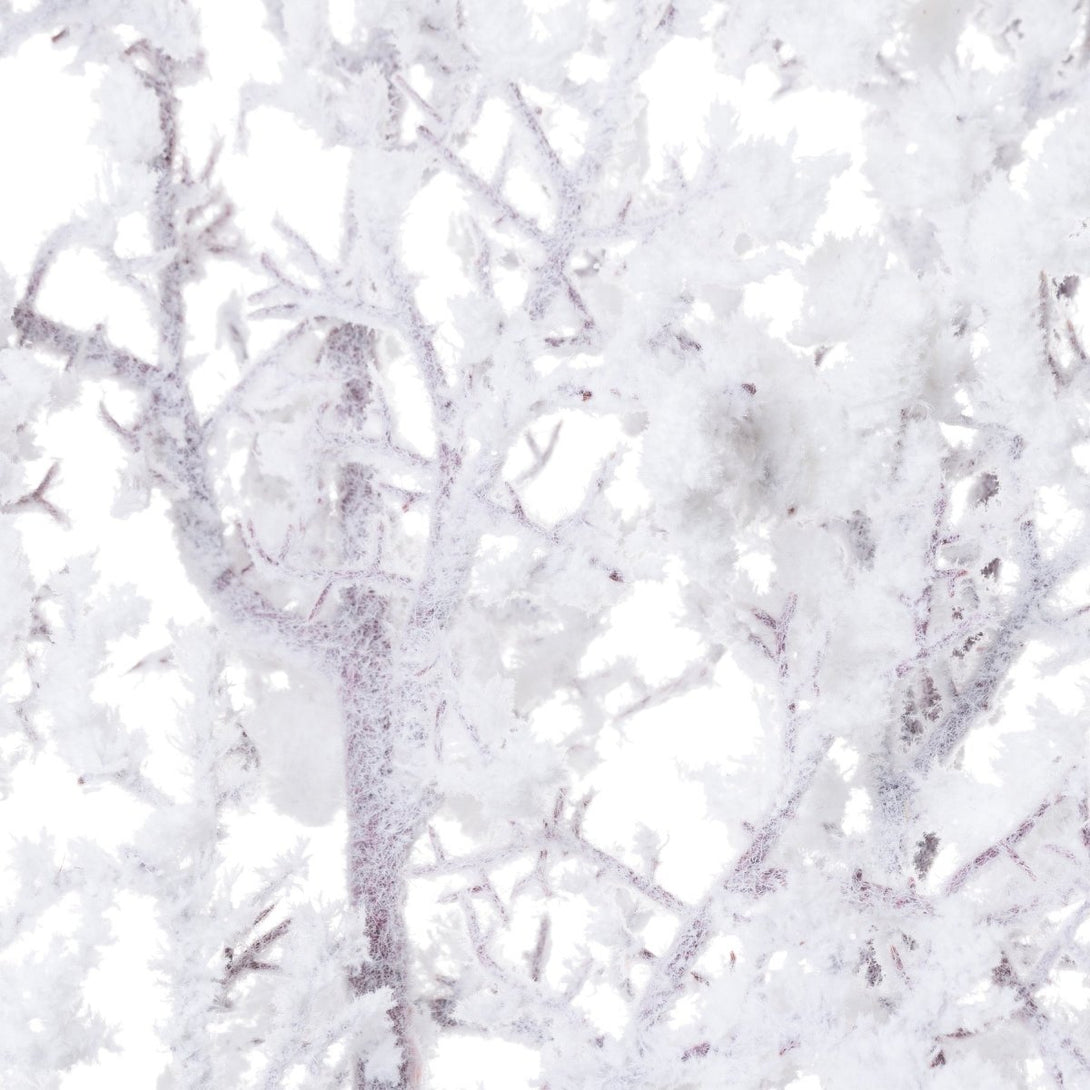 Snowy Branch - Bench Store - Bench Store