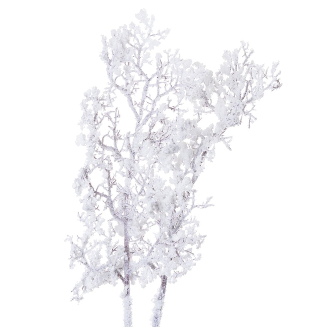 Snowy Branch - Bench Store - Bench Store