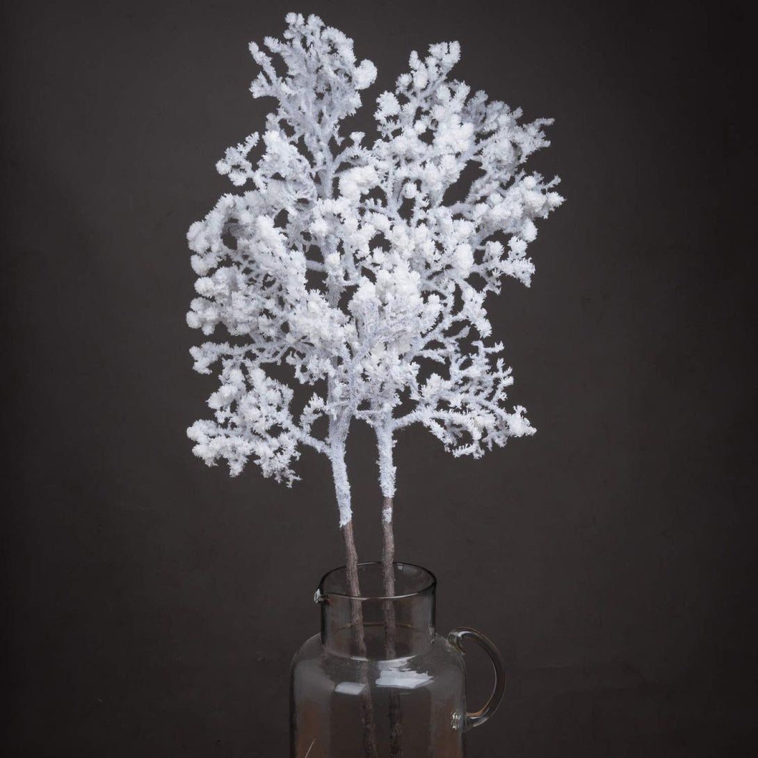 Snowy Branch - Bench Store - Bench Store